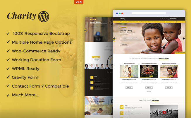 Charity WordPress Theme, Nonprofit WordPress Theme, NGO WordPress Theme, Fundraising WP Theme