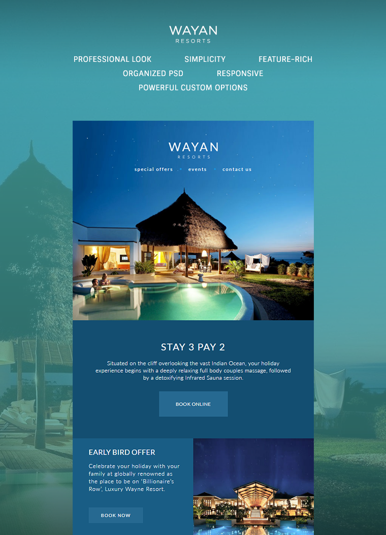 Wayan Email Template