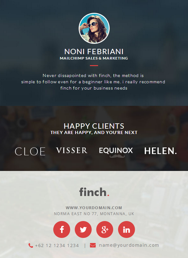 Offering Editable HTML Code With Finch Corporate Newsletter