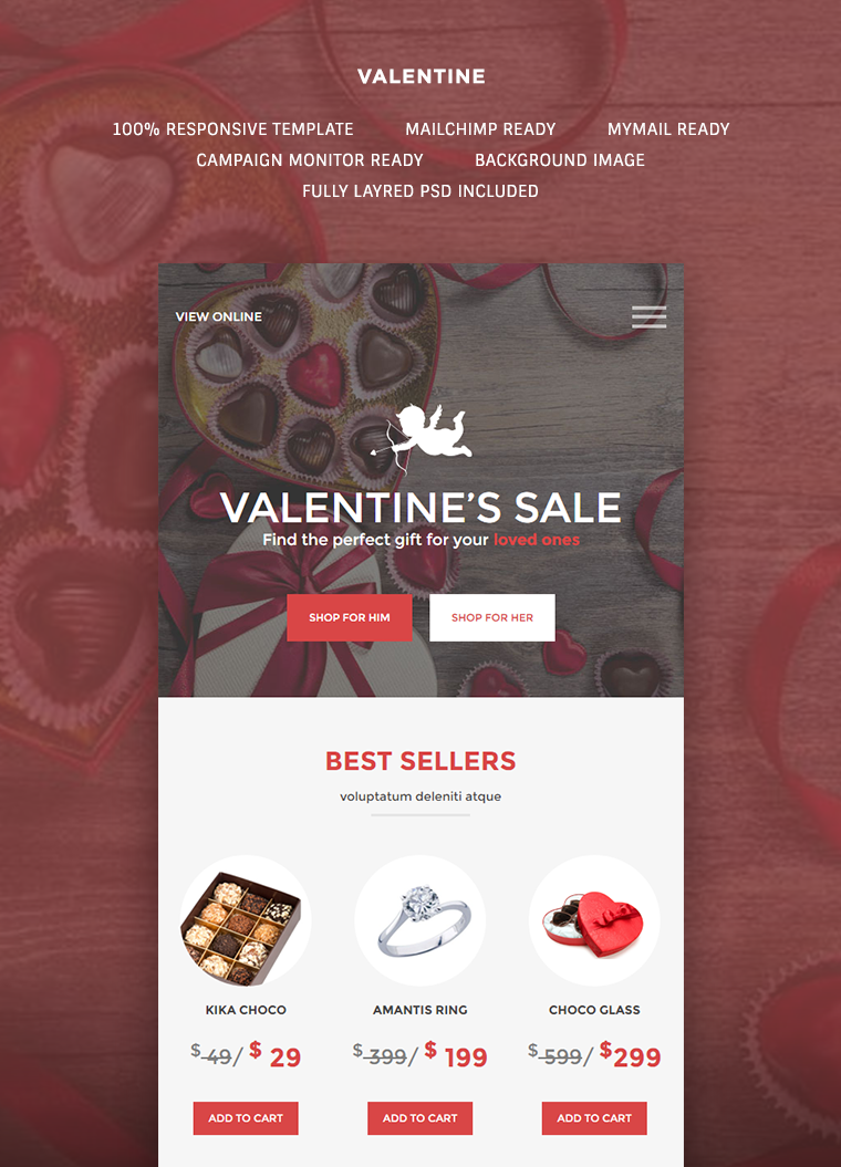Valentine E-commerce Email Template